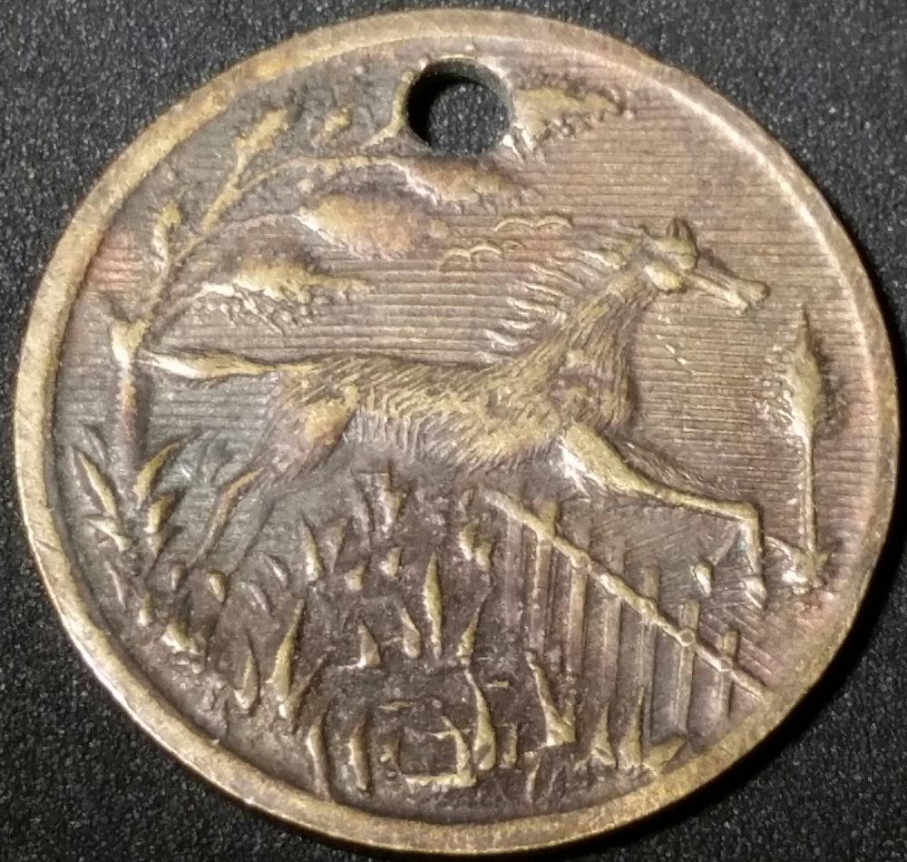 Need-Information-On-This-Hairy-Horse-Token?